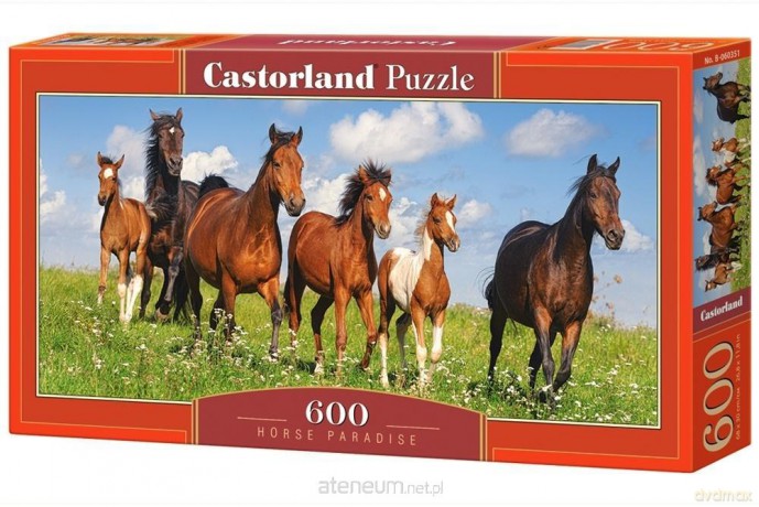 CASTOR 600 el. Horse paradise [PUZZLE]