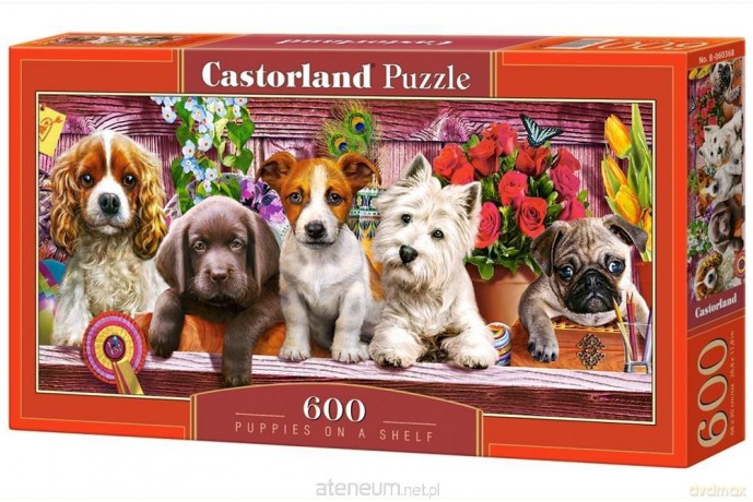 CASTOR 600 el. Puppies on a shelf [PUZZLE]