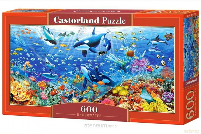 CASTOR 600 el. Underwater [PUZZLE]