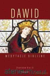 Dawid. Medytacje biblijne - Stanisław Biel [KSIĄŻKA]