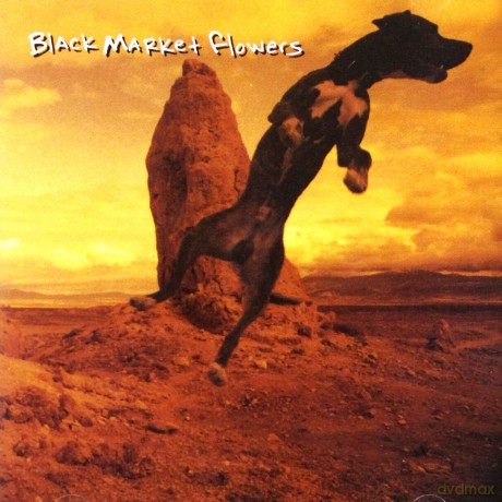Black Market Flowers: Bind [CD]
