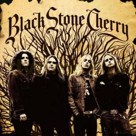 Black Stone Cherry: Black Stone Cherry [CD]