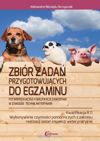Kwalifikacja R.11 Technik weterynarii - Aleksandra Nikolajdu-Skrzypczak [KSIĄŻKA]
