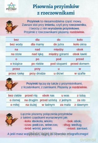 Plansza ortograficzna Pisownia przyimków [KSIĄŻKA]