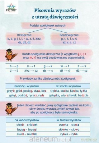 Plansza ortograficzna Pisownia wyrazów [KSIĄŻKA]