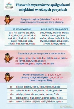 Plansza ortograficzna Pisownia wyrazów [KSIĄŻKA]
