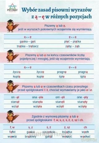 Plansza ortograficzna Pisownia wyrazów z ą-ę [KSIĄŻKA]