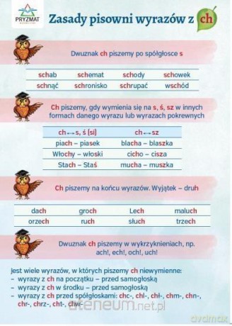 Plansza ortograficzna Zasady pisowni wyrazów z C [KSIĄŻKA]
