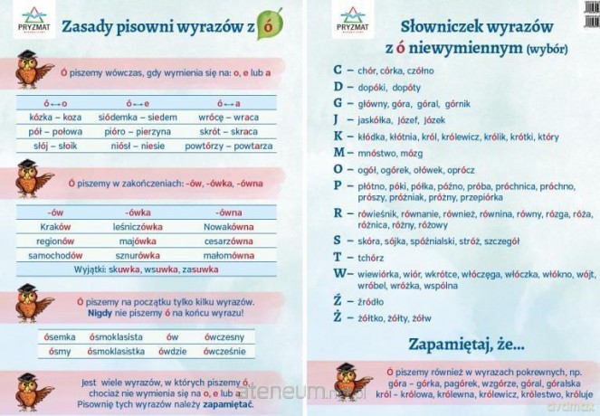 Plansza ortograficzna Zasady pisowni wyrazów z Ó [KSIĄŻKA]