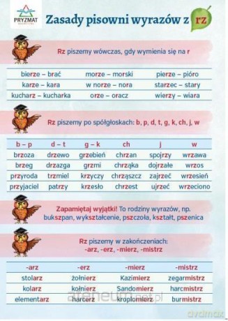 Plansza ortograficzna Zasady pisowni wyrazów z RZ [KSIĄŻKA]