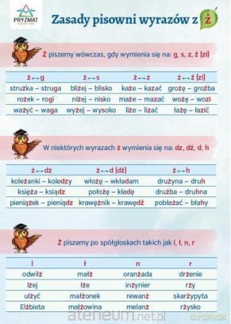 Plansza ortograficzna Zasady pisowni wyrazów z Ż [KSIĄŻKA]