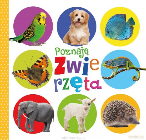 Poznaję zwierzęta [KSIĄŻKA]