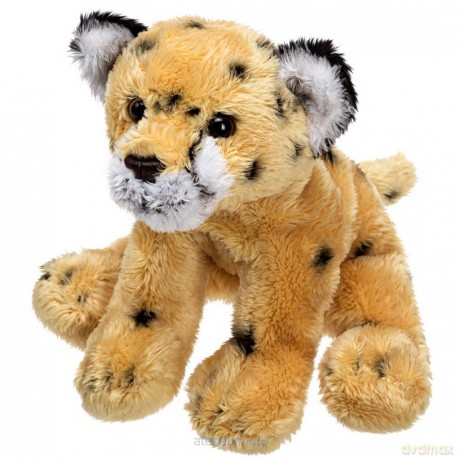 Siedzący gepard