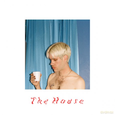 Porches: The House [Winyl]