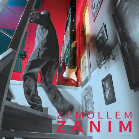 Zemollem sesion - ZANIM [CD]