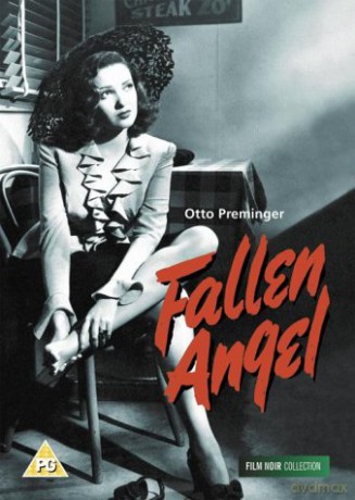 Fallen Angel [DVD]