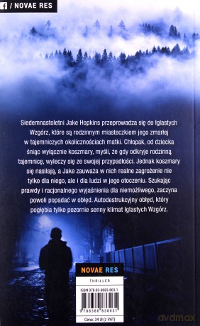 Dziewczyna ze snów - Michał Gałwa [KSIĄŻKA]