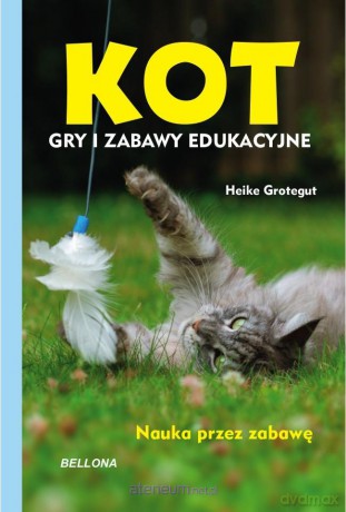 Kot. Gry i zabawy edukacyjne - Heike Grotegut [KSIĄŻKA]