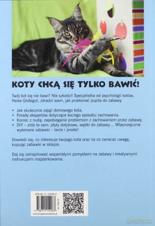 Kot. Gry i zabawy edukacyjne - Heike Grotegut [KSIĄŻKA]