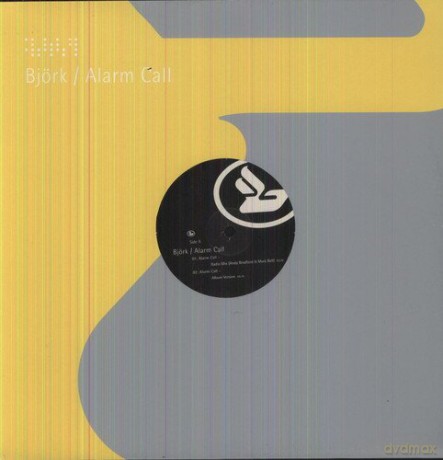 Bjork: Alarm Call [Winyl]