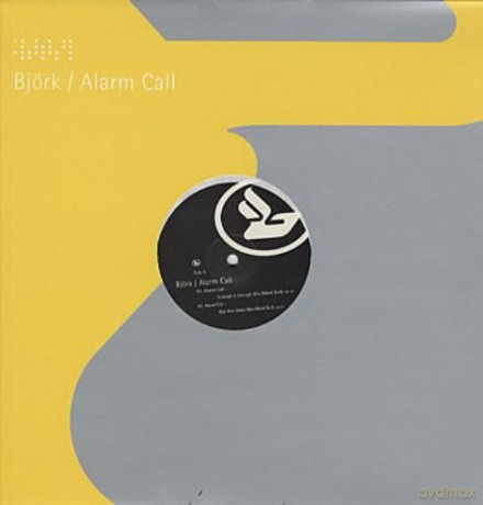 Bjork: Alarm Call [Winyl]