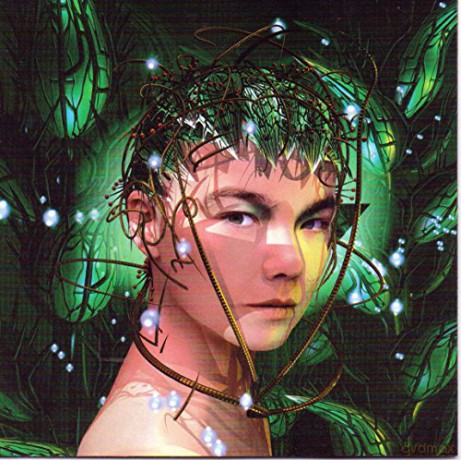Bjork: Bachelorette 1 [CD]