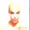 Bjork: Hunter 3 [CD]
