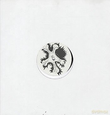 Bjork: It's In Our Hands [Winyl]