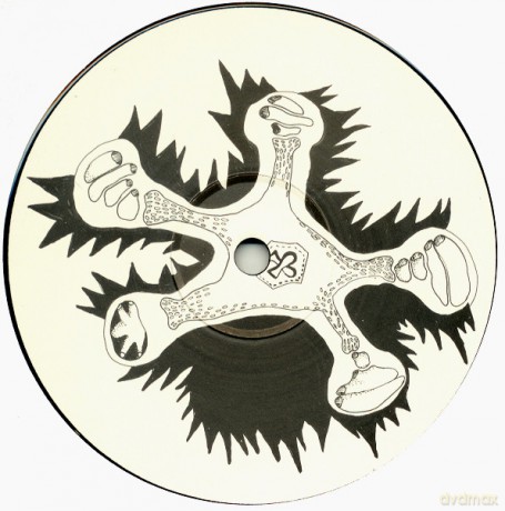 Bjork: It's In Our Hands [Winyl]
