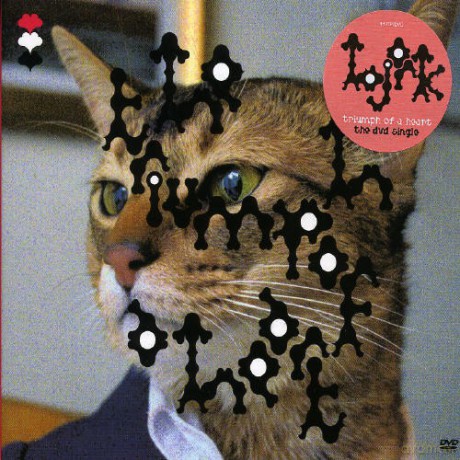 Bjork: Triumph Of A Heart (digipack) [DVD]