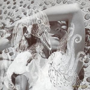 Bjork: Vespertine [CD]