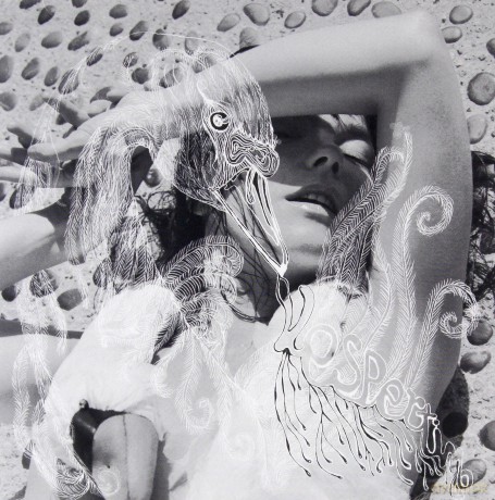 Bjork: Vespertine [CD]