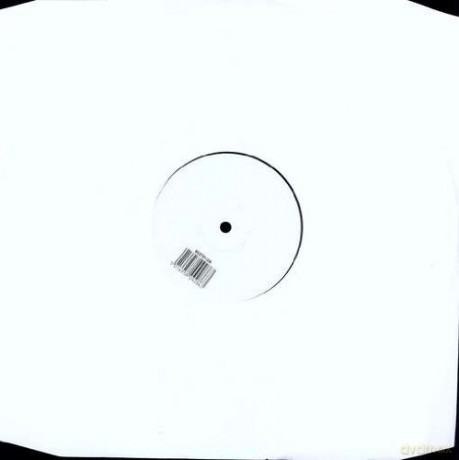 Bjork: Wanderlust A [Winyl]