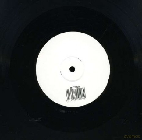 Bjork: Wanderlust B [Winyl]