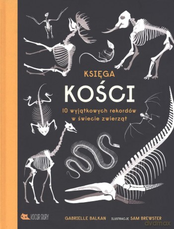 Księga kości - Gabrielle Balkan [KSIĄŻKA]