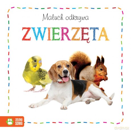 Zwierzęta. Maluch odkrywa [KSIĄŻKA]
