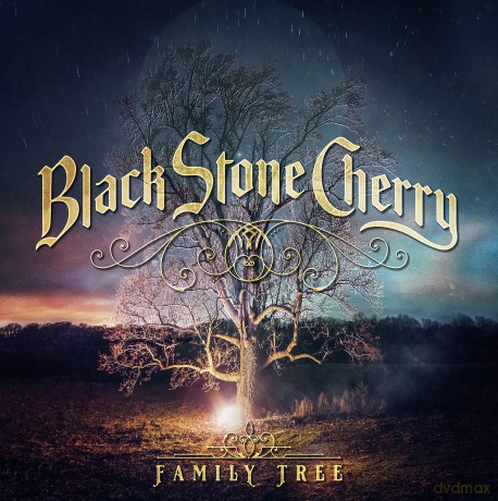 Black Stone Cherry: Family Tree [CD]