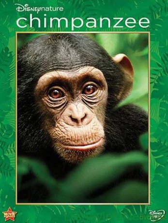Chimpanzee [DVD]