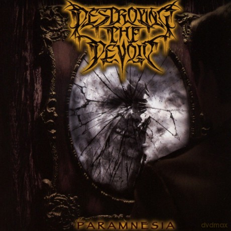 Destroying The Devoid: Paramnesia [CD]