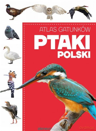 Atlas gatunków. Ptaki Polski [KSIĄŻKA]