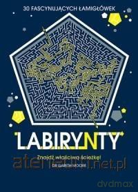 Labirynty. 30 fascynujących łamigłówek [KSIĄŻKA]