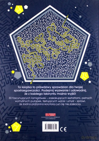 Labirynty. 30 fascynujących łamigłówek [KSIĄŻKA]