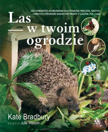 Las woim ogrodzie - Kate Bradbury [KSIĄŻKA]