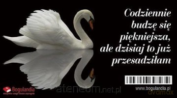Magnes na lodówkę Codziennie budzę się piękniejsza