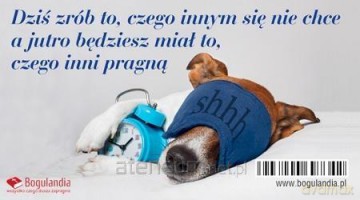 Magnes na lodówkę Dziś zrób to, czego innym