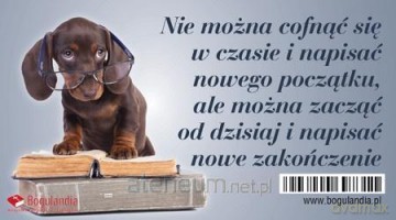 Magnes na lodówkę Nie można cofnąć się w czasie