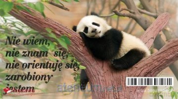 Magnes na lodówkę Nie wiem, nie znam się
