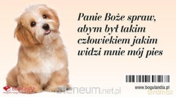 Magnes na lodówkę Panie Boże spraw, abym był takim
