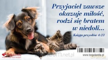 Magnes na lodówkę Przyjaciel zawsze okazuje