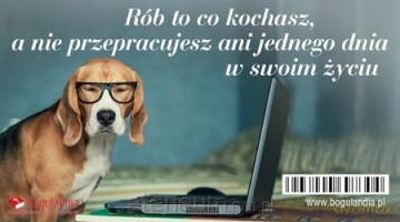 Magnes na lodówkę Rób to co kochasz